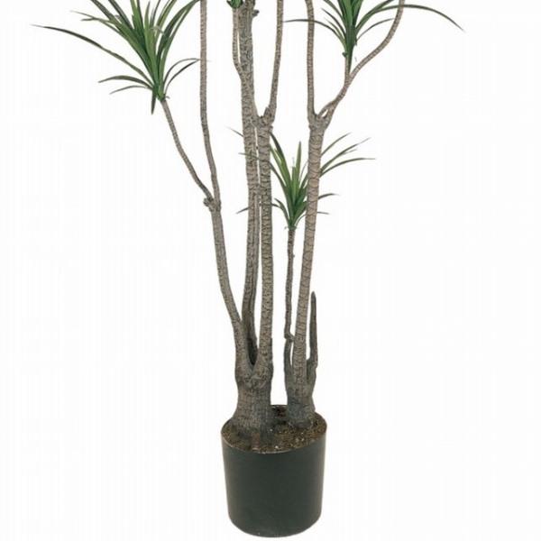 人工観葉植物 ユッカポット L 高さ185cm （P225) （fg7648) （代引き不可）_2