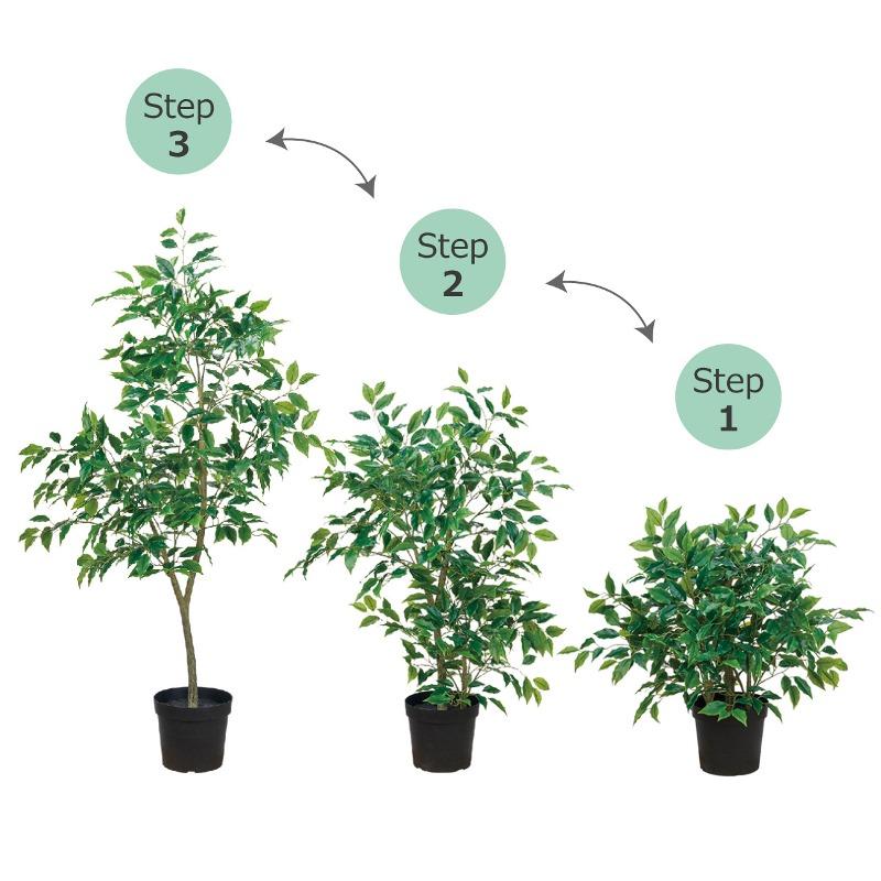 人工観葉植物 ファイカス ポット ３WAY 高さ70/100/150cm （P219) （fg777) （代引き不可）_1