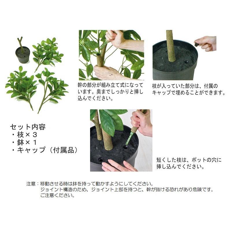 人工観葉植物 ファイカス ポット ３WAY 高さ70/100/150cm （P219) （fg777) （代引き不可）_4