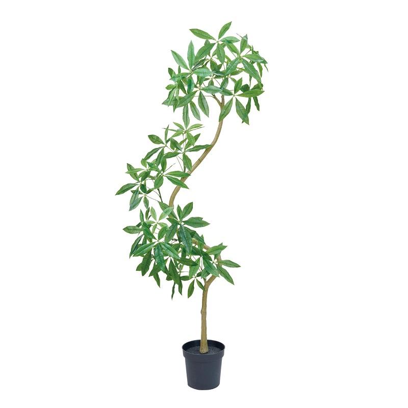 人工観葉植物 パキラ エレガントスパイラル 光触媒加工 高さ200cm