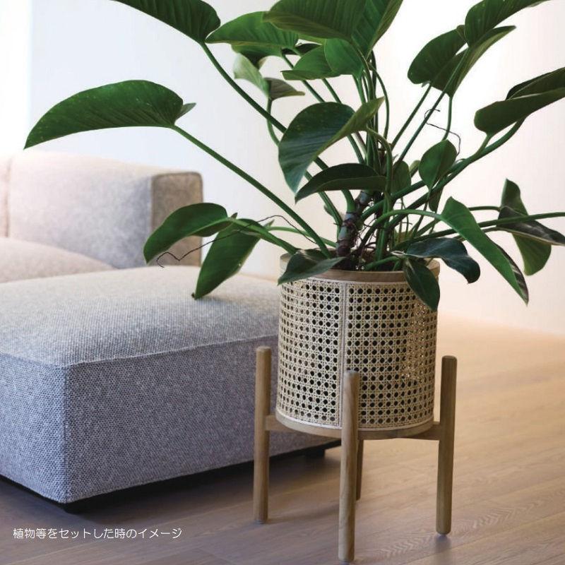 花・観葉植物用ポット ラタン＆チーク ポットスタンド ロビン 1個入り 37002 （代引き不可） p293の画像