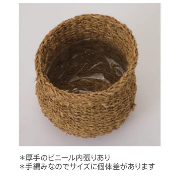 花・観葉植物用ポット ホグラ草 ゴールドバスケット PT 30 1個入り 39062 （代引き不可） p305の画像