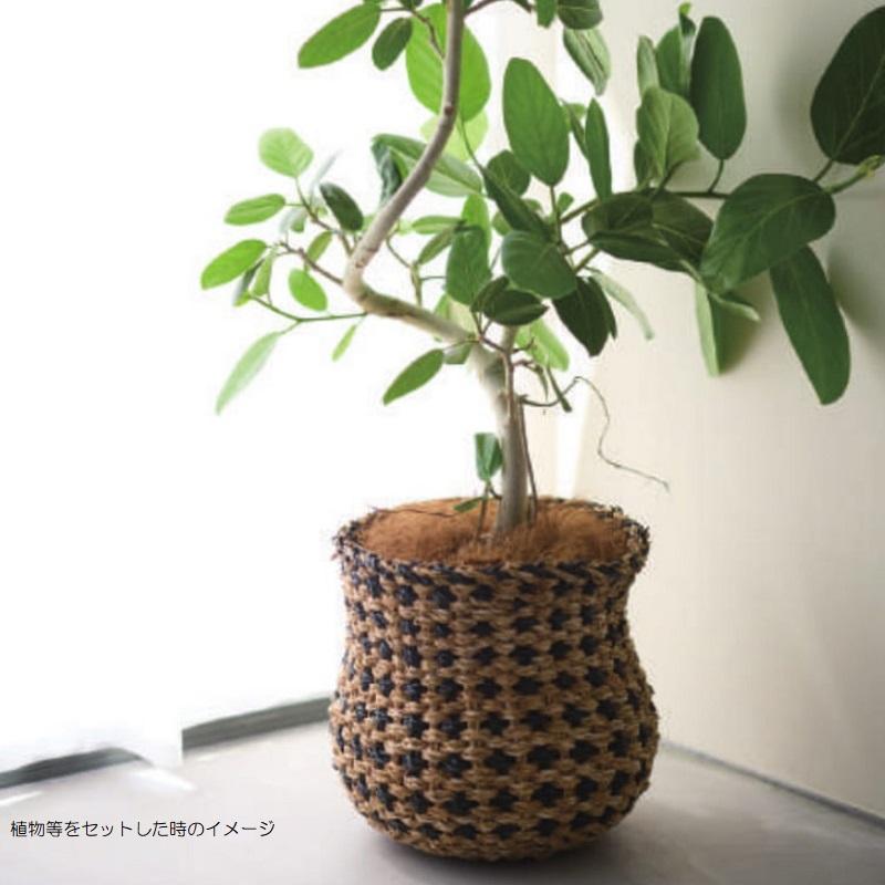 花・観葉植物用ポット ホグラ草 ゴールドバスケット PT 30 1個入り 39062 （代引き不可） p305の画像