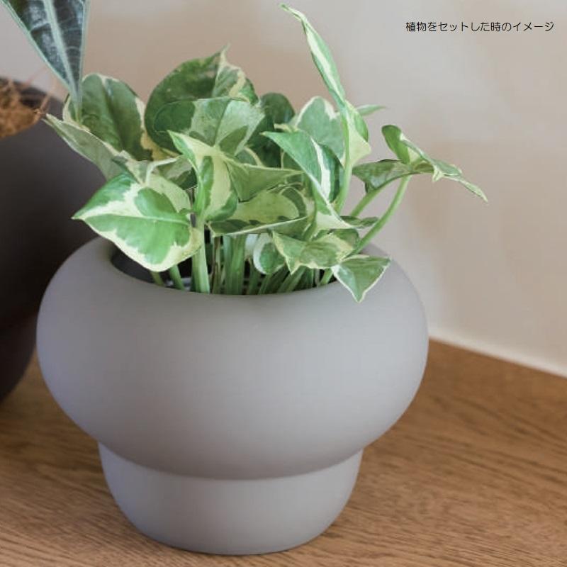 花・観葉植物用ポット ステラ 11 H 4 40185 鉢タイプ MIRAKANA