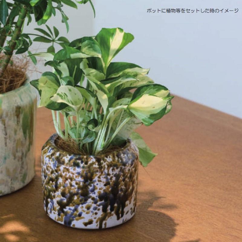 花・観葉植物用ポット ダナ 11 B 2個入り 71111 （代引き不可） p39の画像