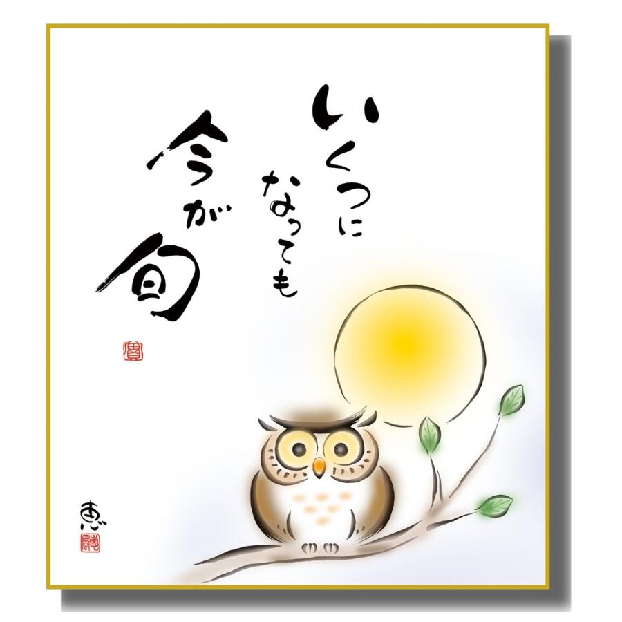 色紙絵 こころの癒し絵 しあわせふくろう 今が旬 K6-060 : さくら