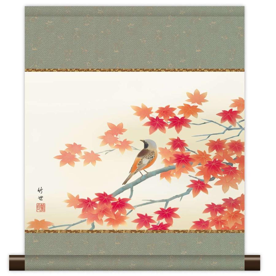 和風モダン掛 現代日本画 秋花鳥 紅葉 紅葉に小鳥 KM3R2-044 : さくら