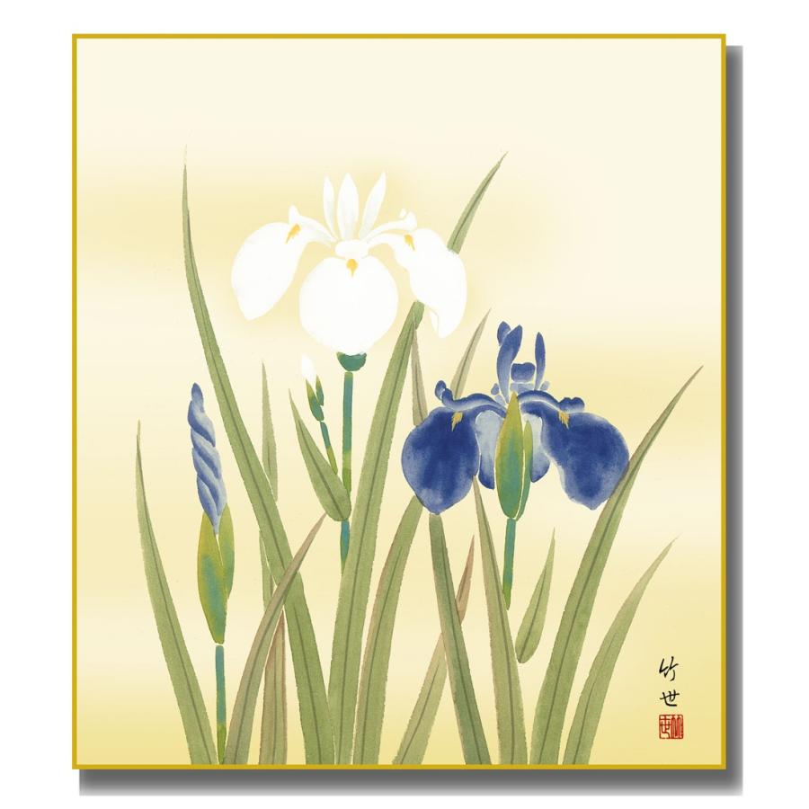 色紙絵 四季絵 四季淡花 菖蒲 K5-016B : さくらソレイユ - 通販
