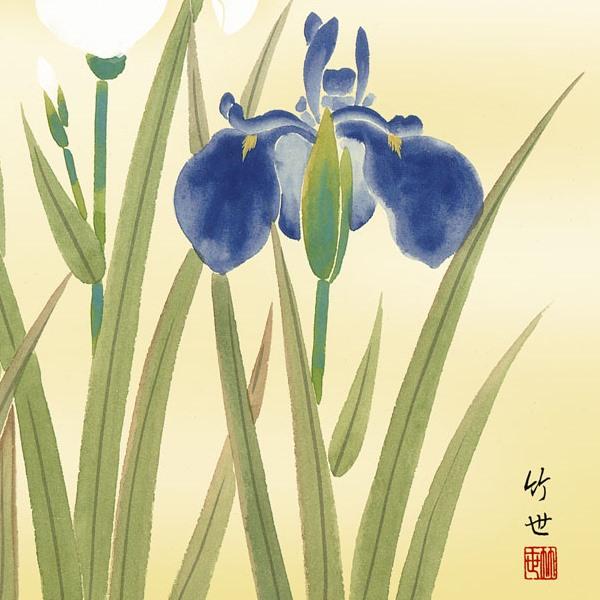 色紙絵 四季絵 四季淡花 菖蒲 K5-016B : さくらソレイユ - 通販