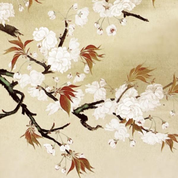 色紙絵 模写複写画 横山大観 桜 K10-061 : さくらソレイユ - 通販