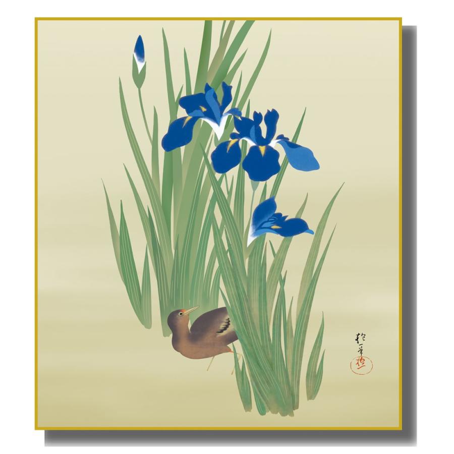 色紙絵 模写複写画 酒井抱一 燕子花に水鶏図 K10-080 : さくらソレイユ