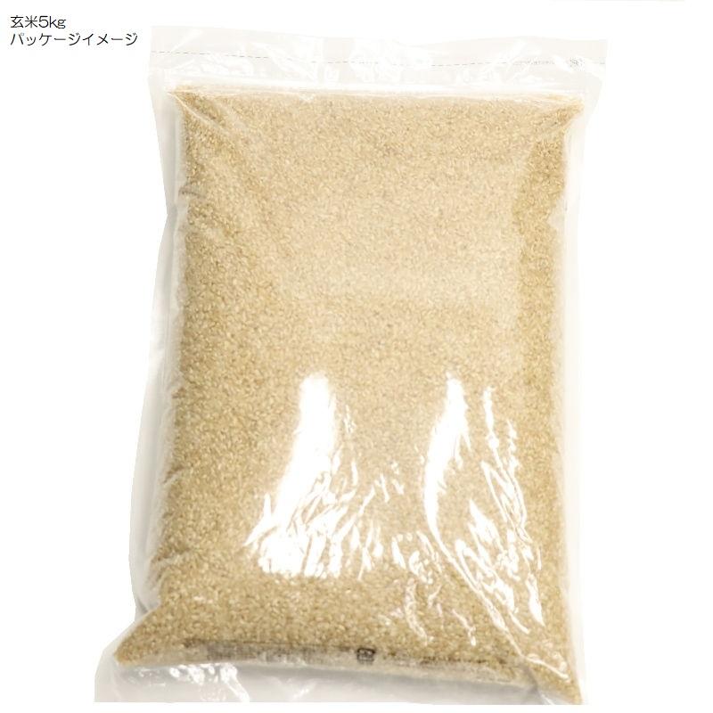 令和7年産 ヒノヒカリ 兵庫県産 ひのひかり 玄米0.5kg・0.9kg・2kg