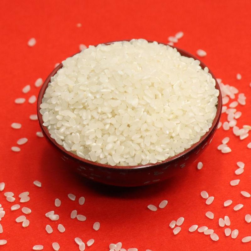 令和7年産 ヒノヒカリ 兵庫県産 ひのひかり 白米0.5kg・0.9kg・2kg