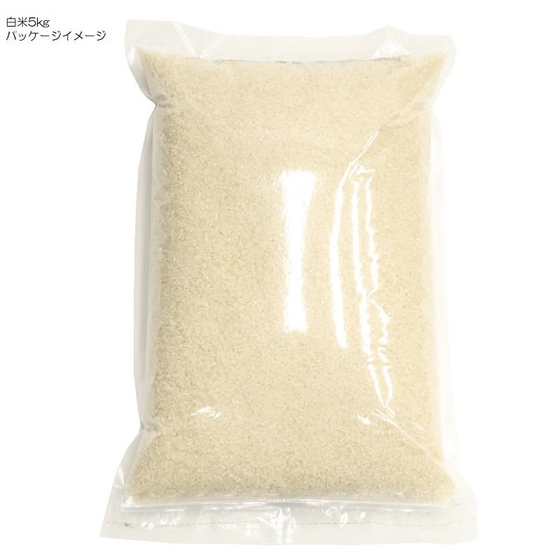 令和7年産 ヒノヒカリ 兵庫県産 ひのひかり 白米0.5kg・0.9kg・2kg