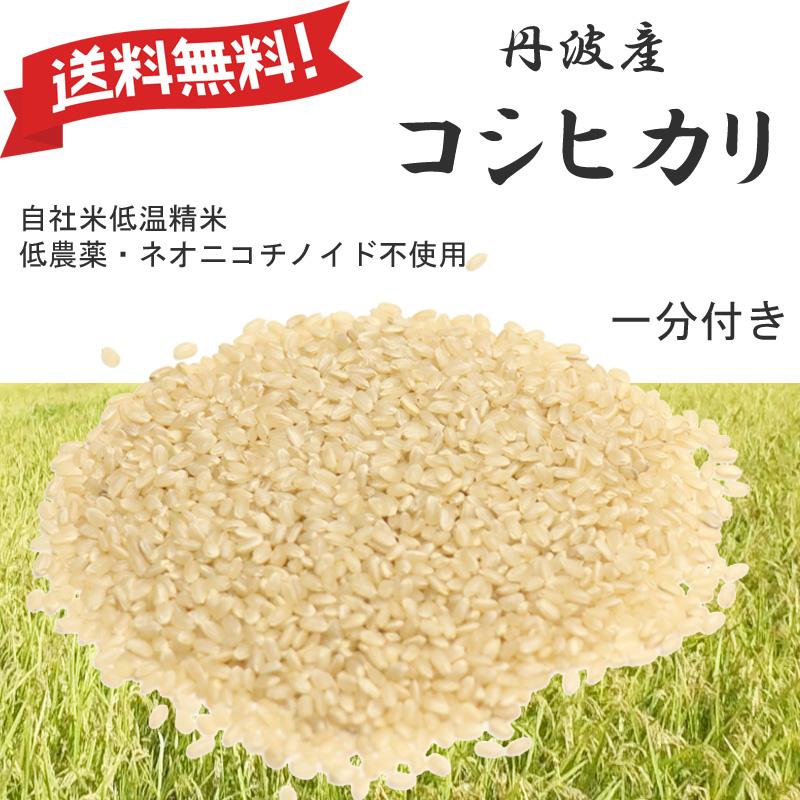 新米|令和7年産 コシヒカリ 兵庫県産 Mirakana premium 丹波産 減農薬