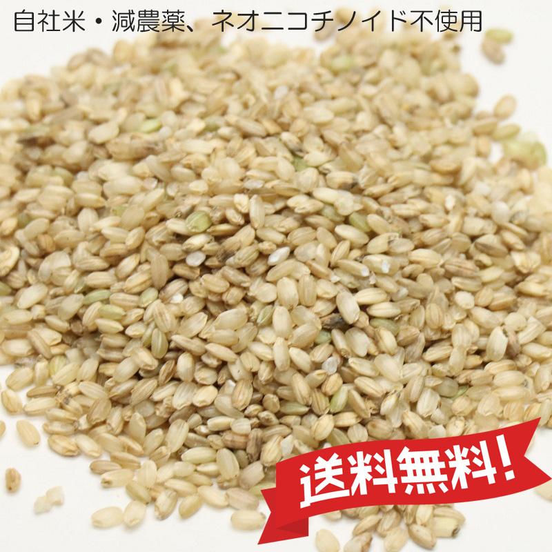 くず米 青米 山田錦 令和6年産 兵庫県産 減農薬 ネオニコチ くず米 青米 山田錦 令和6年産 兵庫県産 減農薬 ネオニコチ