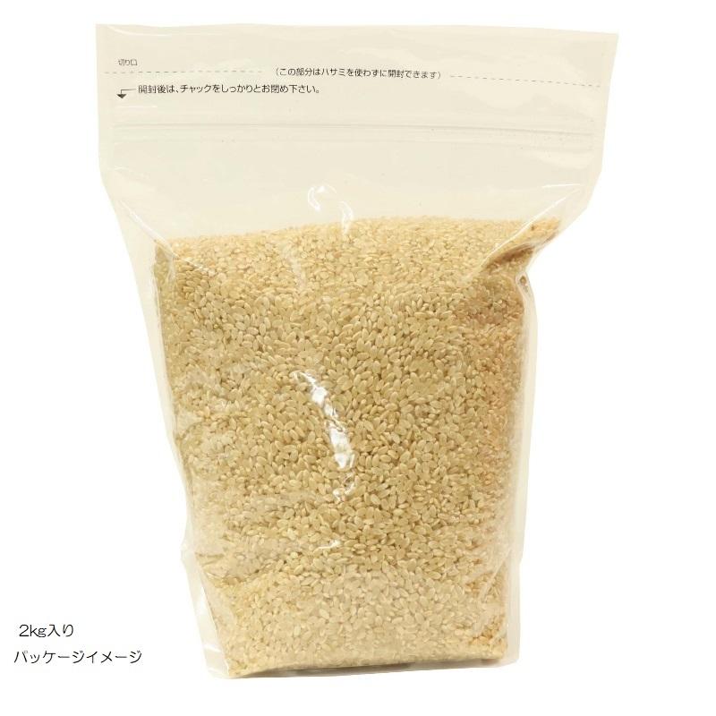 くず米 青米 山田錦 令和6年産 兵庫県産 減農薬 ネオニコチ くず米 青米 山田錦 令和6年産 兵庫県産 減農薬 ネオニコチ