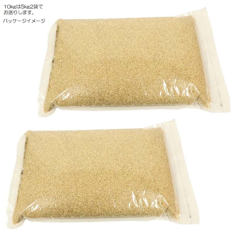 くず米 青米 山田錦 令和6年産 兵庫県産 減農薬 ネオニコチ くず米 青米 山田錦 令和6年産 兵庫県産 減農薬 ネオニコチ