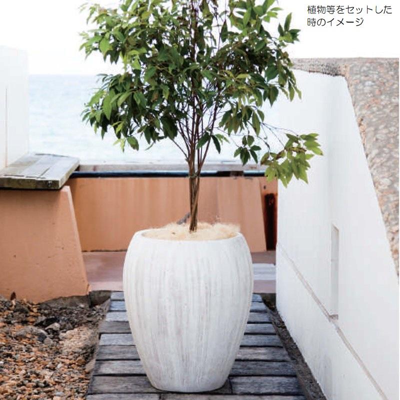 花・観葉植物用ポット コーテス ジャー ホワイトウォッシュ L 64/G 1個入り ct-004b19e [KTp181]（代引き不可）の画像