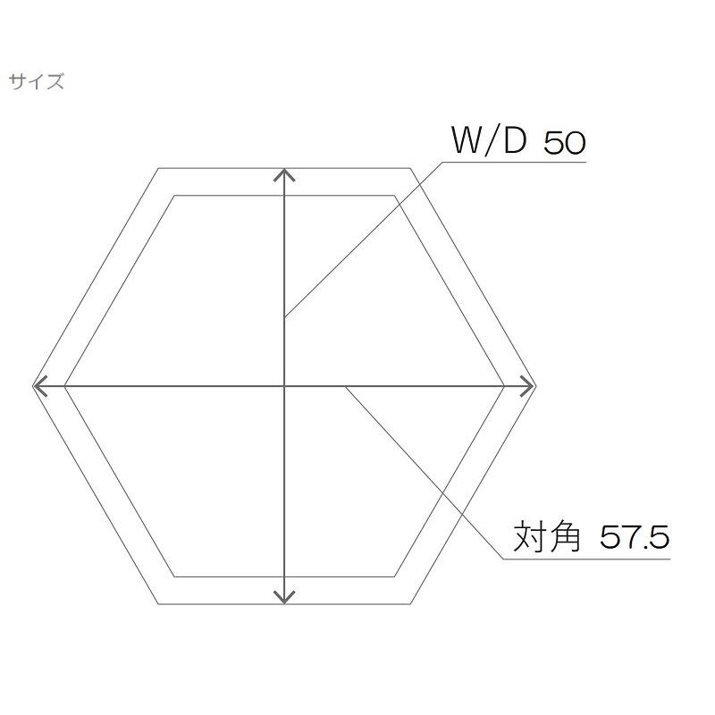 花・観葉植物用ポット コーテス ヘックス L 50/B 1個入り ct-006w17e [KTp171]（代引き不可）の画像