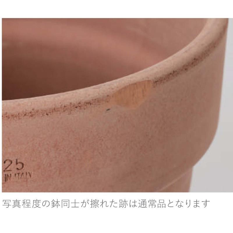 花・観葉植物用ポット イタリアンテラコッタ ヴァソ モカ XL 10号 2個入り it-mm15315 [KTp309]（代引き不可）_2