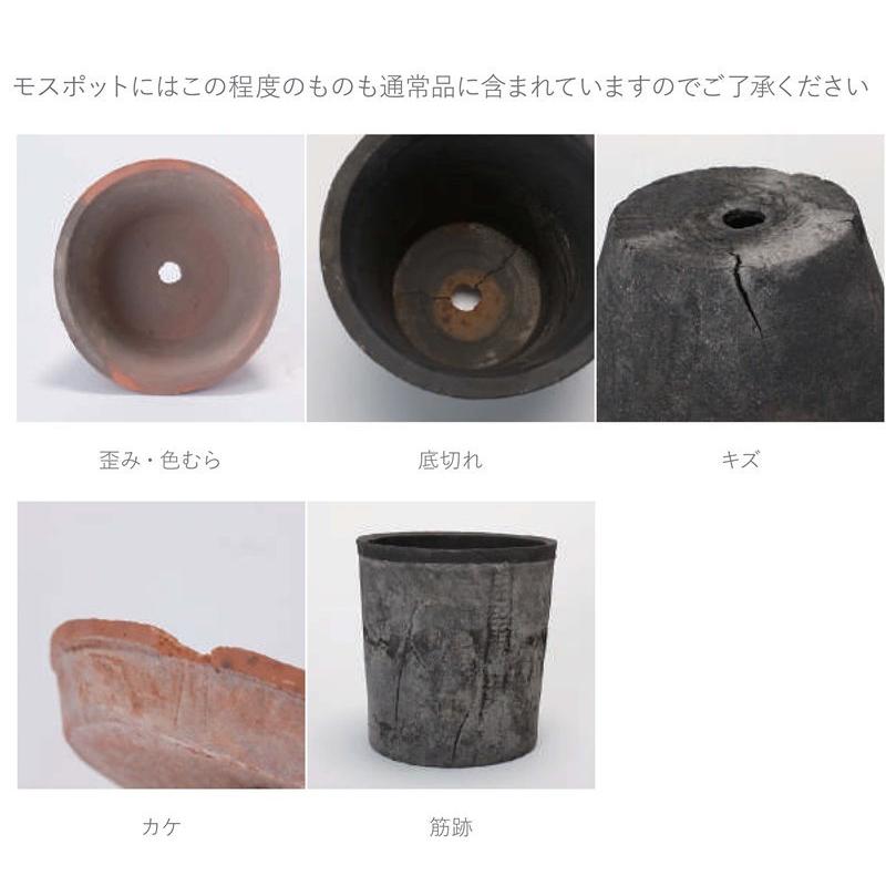 花・観葉草木用ポット モスポット さくら色 赤粘土/薄墨色 XS 3号 24個入り口・入口 ms-300r03e [KTp329]（代引っ張ること不可）