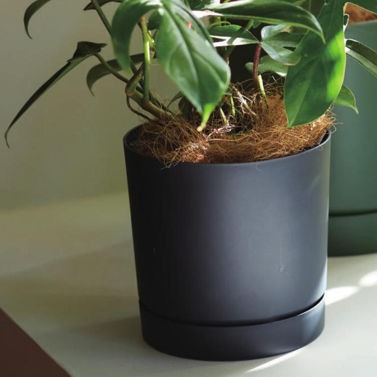花・観葉植物用ポット プロスパー トゥーボ S 24/A 4個入り pp-tu1k24e [KTp249] 受皿付（代引き不可）_3