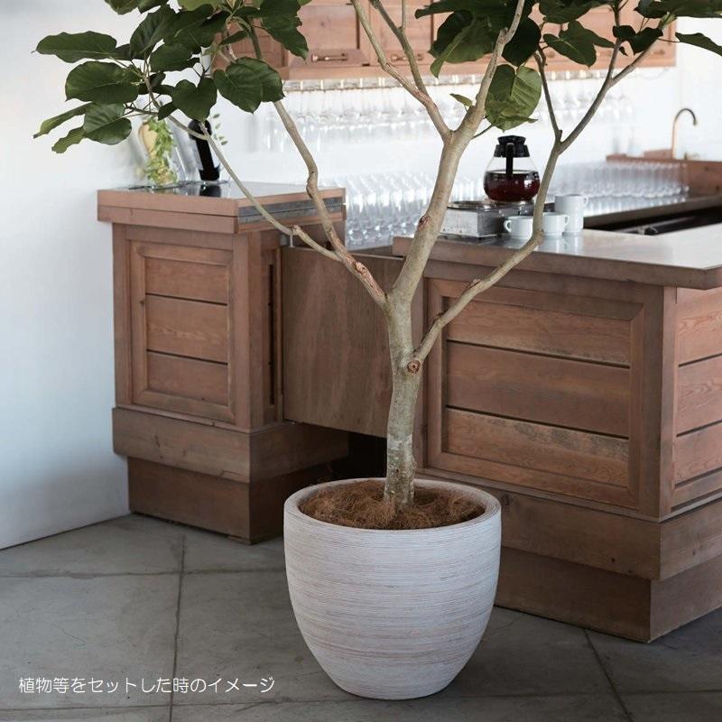 花・観葉植物用ポット マラッカ クリームウォッシュ RD S 37/A 1個入り rc-rd1c37v [KTp403]（代引き不可）の画像
