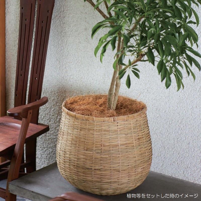花・観葉植物用ポット カムラン バンブー MD L 47/B 1個入り sg-bb1x47e [KTp407]（代引き不可）の画像