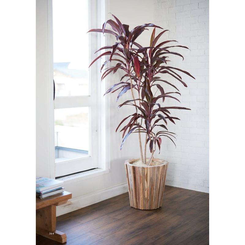 花・観葉植物用ポット ナチュラルウッド チークウッド コニック M 45/B 1個入り tk-001x45e [KTp419]（代引き不可）の画像
