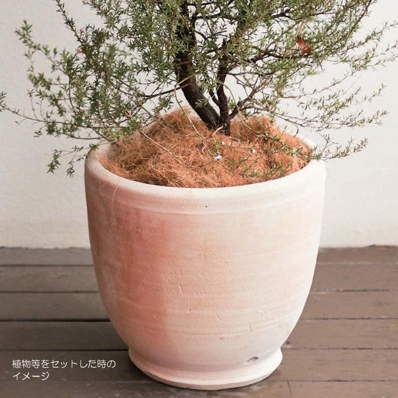 園芸 インテリア ポット チュニジアン ラウンド L 15号 1個入り tu-003x15e [p237] （代引き不可） 代引き不可 園芸 インテリア ポット チュニジアン ラウンド 15号 1個入り tu 003x15e p237