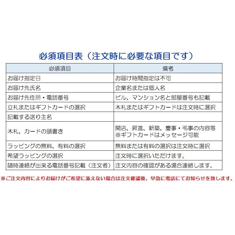 蘭生花 ピンク大輪胡蝶蘭 2本立ち 22輪程度 つぼみ含む  （2F4L-P1047） 当選祝 契約蘭農園直送 ラッピング出荷の画像