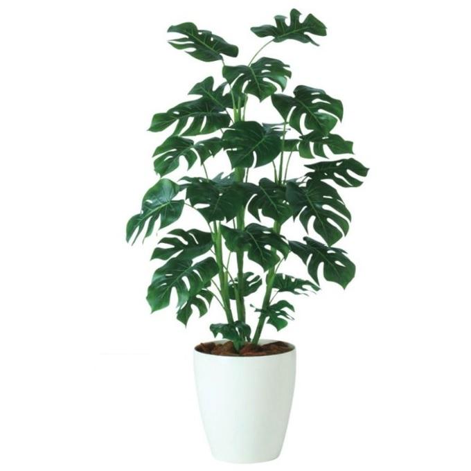 人工観葉植物 モンステラ R 110 ポット付き 高さ110cm （P93-91834