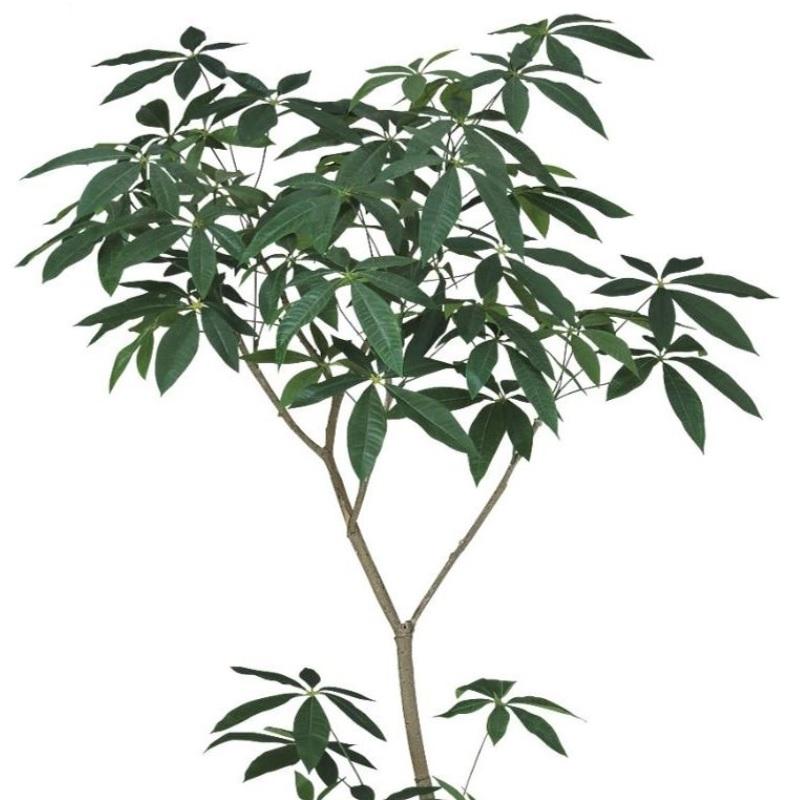 人工観葉植物 パキラ FST 180 ポット付き 高さ180cm （P52-91854