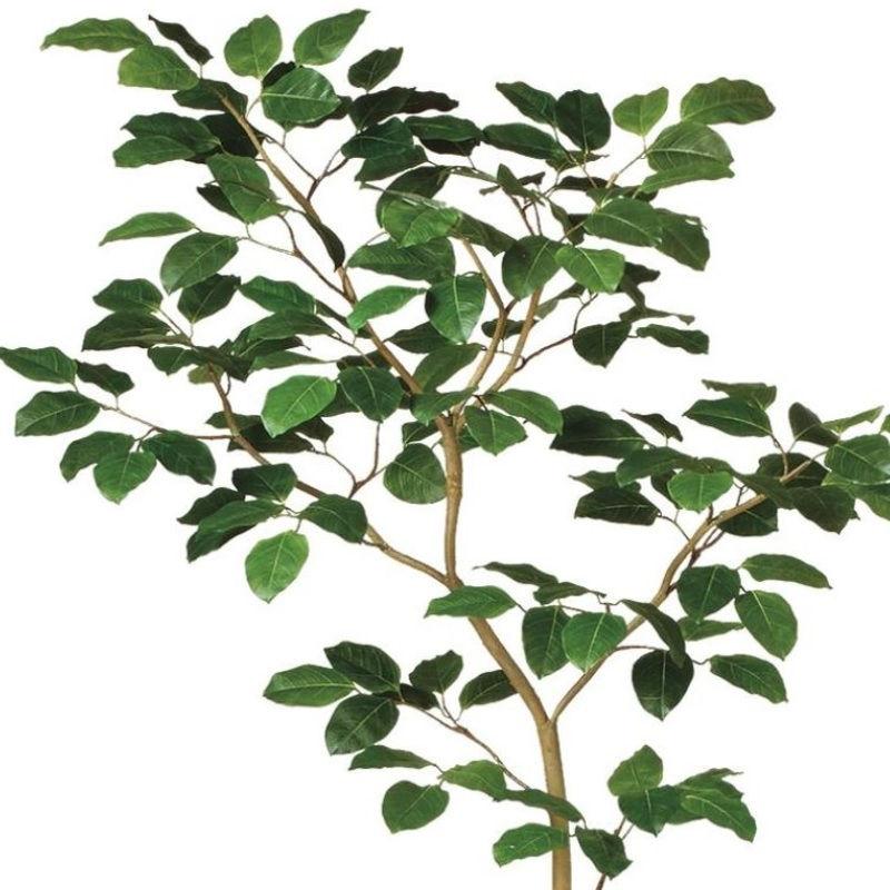 【アウトレット品】 人工観葉植物 ベンガルボダイジュ FST 180 ポット付き 高さ180cm （P47-99114) （代引き不可） 【DGJ1162666497】(41950円)