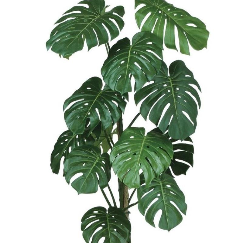 人工観葉植物 モンステラバイン 150 ポット付き 高さ150cm (P93 人工観葉植物 モンステラバイン 150 ポット付き 高さ150cm (P93