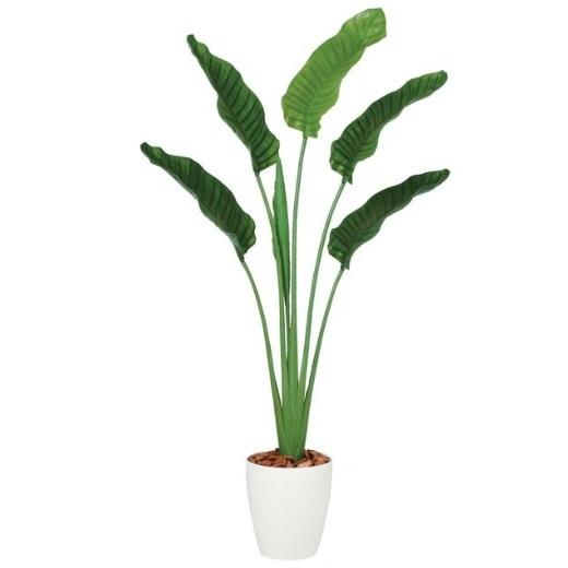 人工観葉植物 ストレチア・オーガスタ 160 ポット付き 高さ160cm （P89 