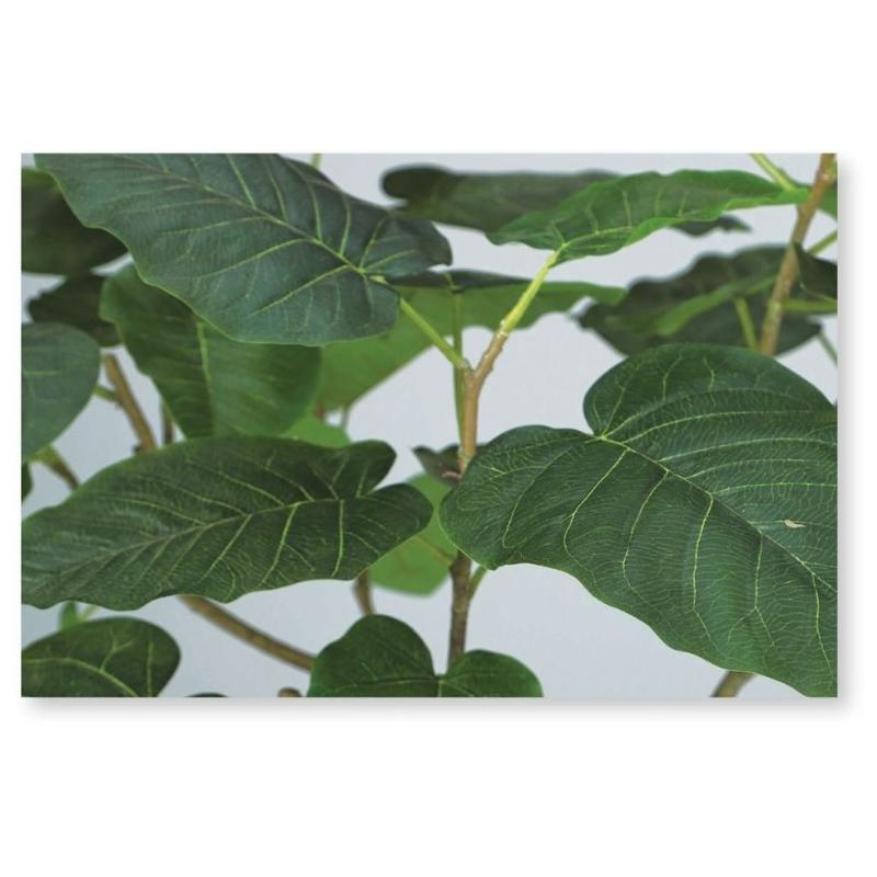人工観葉植物 HQ ウンベラータ FST 2本立 150 ポット付き 高さ150cm