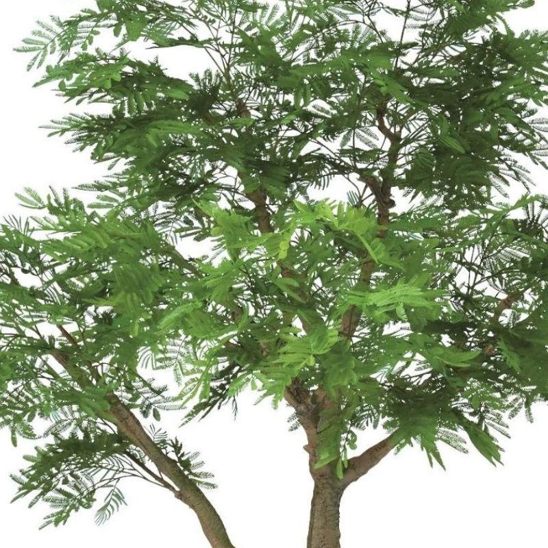 光触媒　人工観葉植物　フェイクグリーン　エバーフレッシュ 藤 人工観葉植物 楽天市場】【メーカー直送】フェイクグリーン コアッド200 フラワー・ガーデニング