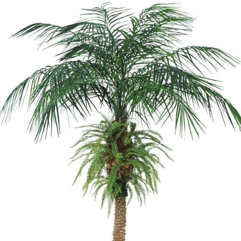 光触媒　人工観葉植物　フェイクグリーン　フェニックス・ロベレニー PLUS 光触媒 人工観葉植物 フェイクグリーン フェニックス・ロベレニー PLUS