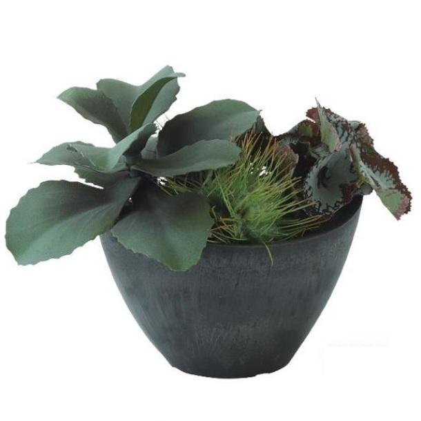 人工観葉植物 ジェイドプラント MIX ポット付き 高さ20cm （P114-99514 
