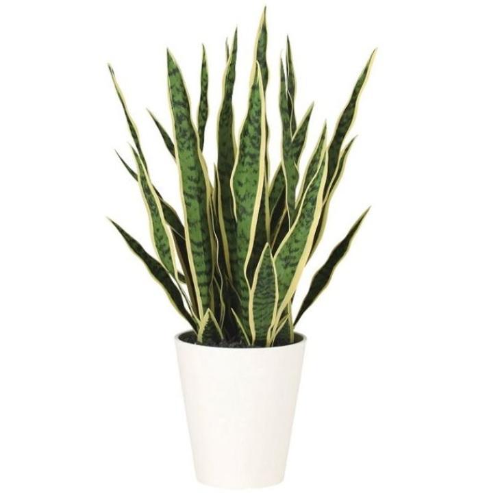 人工観葉植物 サンスベリア 75 ポット付き 高さ75cm （P66-99522