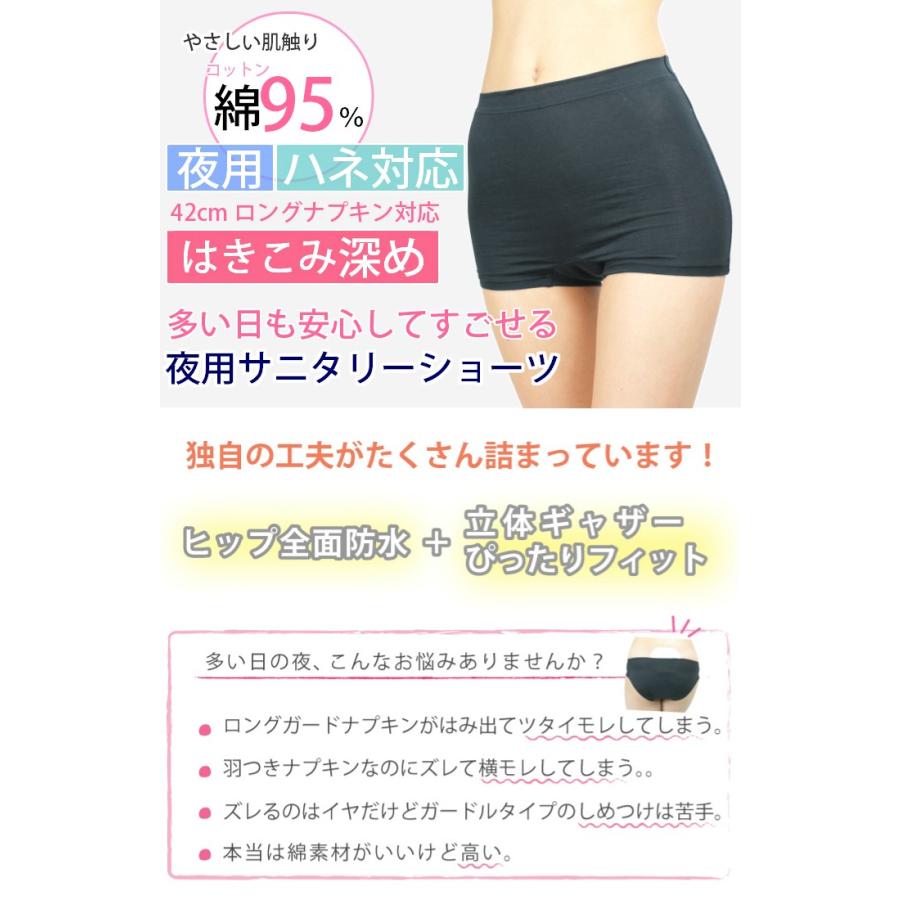 サニタリーショーツ 夜用 深め ナイト用 2枚セット 生理用ショーツ