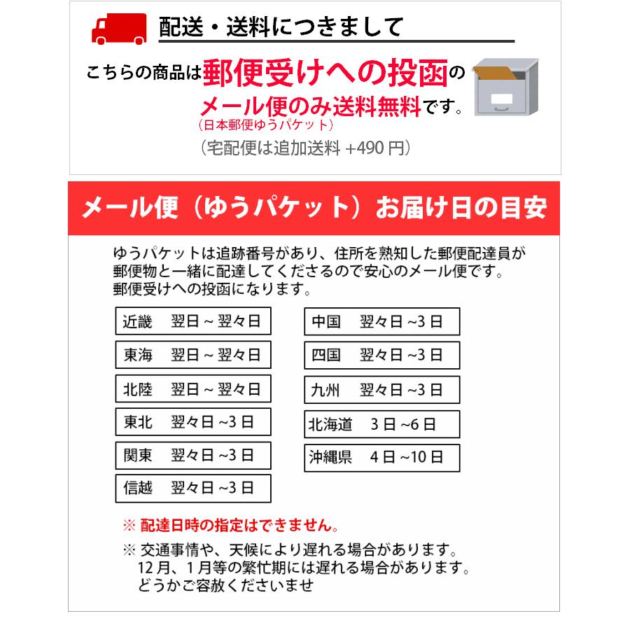 サニタリーショーツ 夜用 深め ナイト用 2枚セット 生理用ショーツ