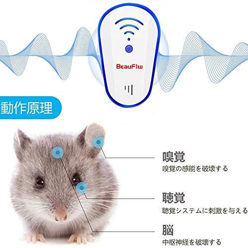 Beauflw ネズミ駆除 超音波 ねずみ駆除 強力 電磁波 コンセント式 省エネ 静音 無毒無臭 ねずみ 鼠 ゴキブリ 蚊 アリ 虫 ノミ ハエ ダ S 0193499548747 20210714 さくらやストア 通販 Yahoo ショッピング