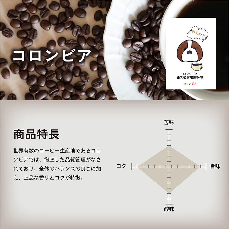 自家焙煎 コーヒー豆 珈琲豆 直火 煎りたて お試し 2種×500g 1kg 粉 豆