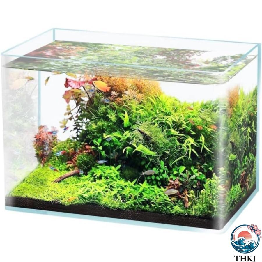 水槽メダカ メダカ容器大型 デッカい流木ガラスオブジェWC 花瓶 金魚鉢