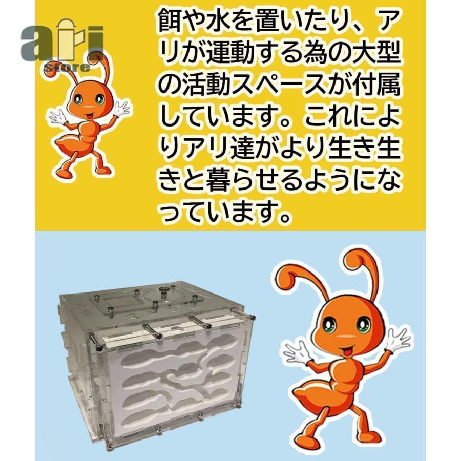 アリ飼育キット 石膏製巣箱 透明アクリル製ケース アリの巣観察キット