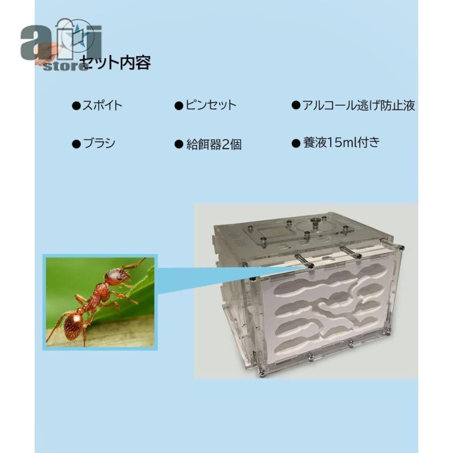 アリ飼育キット 石膏製巣箱 透明アクリル製ケース アリの巣観察キット