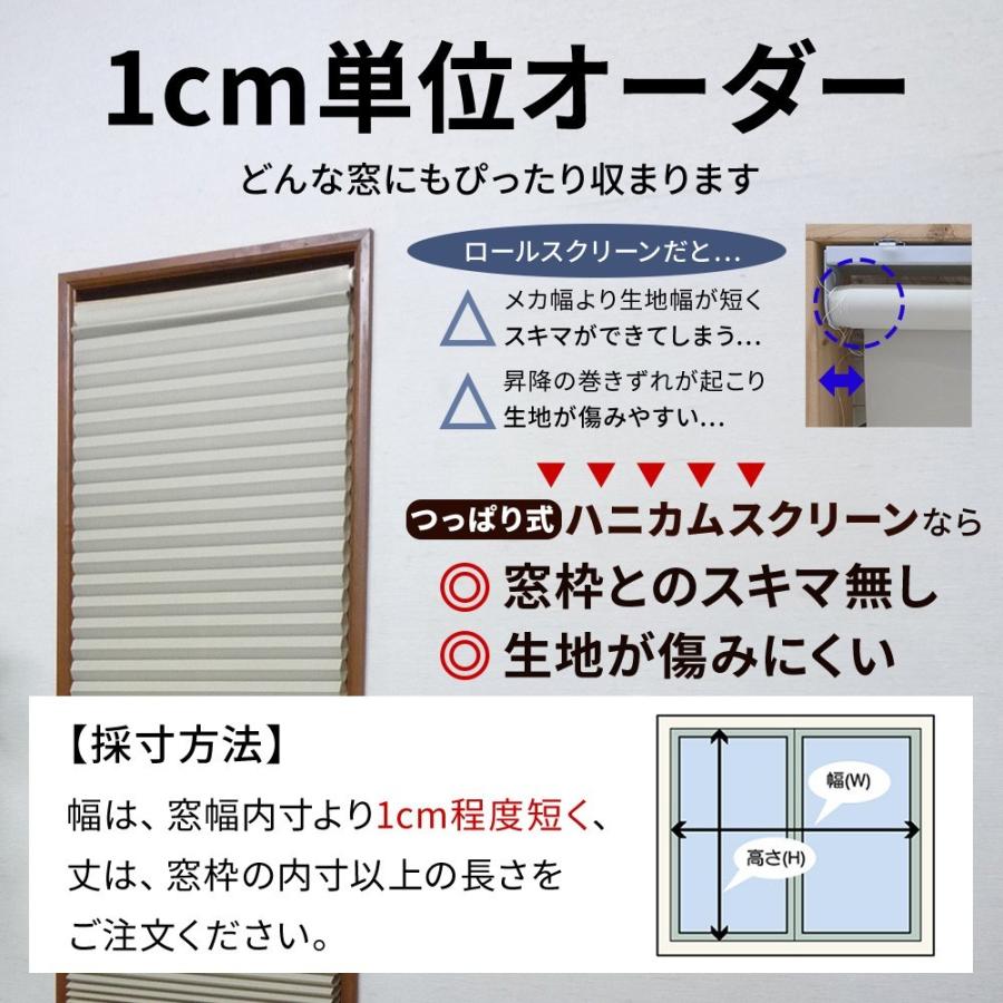 一級遮光 つっぱり式ハニカムスクリーン オーダー対応 幅51 70cm 丈61 1cm 全4色 つっぱり棒付き 断熱 保温 Daikohanikamutuv D さくらインテリア 通販 Yahoo ショッピング